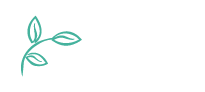 J&E Wellness Spa